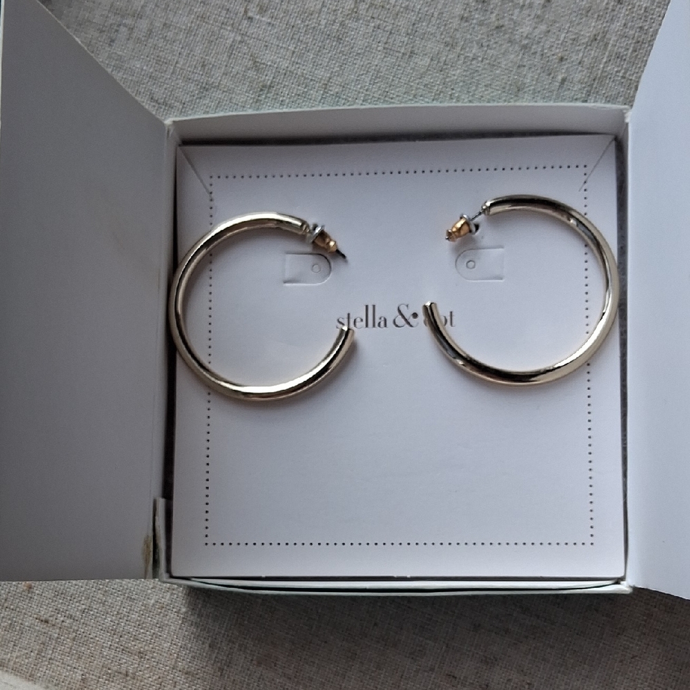 Stella & Dot Evetything Hoop Earrings